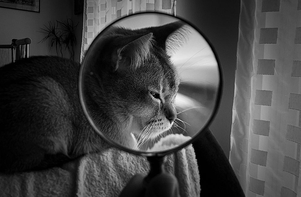 PRONAĐI REČ: Da li su vam sve na broju?