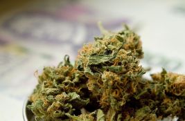 Zaplenjeno 15 kilograma marihuane u Zrenjaninu
