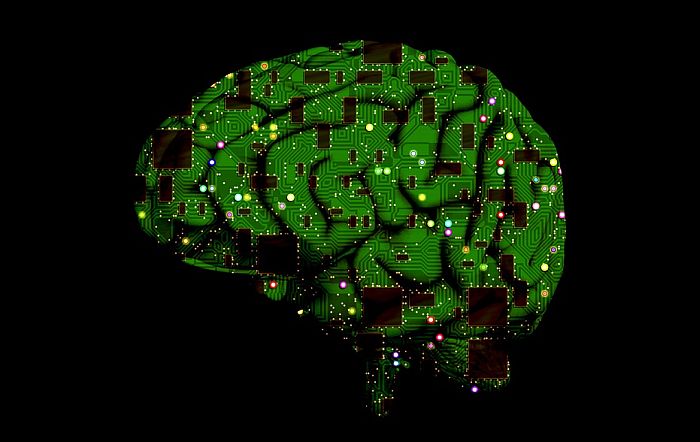 Neurohirurg: Sve smo bliže ugradnji mikroračunara u mozak ljudi