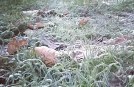 Danas ledeno u Novom Sadu