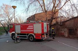 FOTO: Požar na Limanu brzo ugašen
