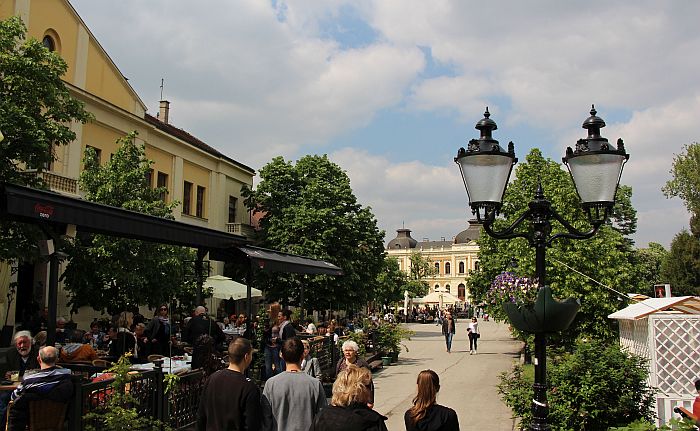 Međunarodni inkluzivni festival "Hearts in Harmony" danas u Sremskim Karlovcima