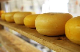 Miročki sir na listi 50 najboljih sireva na svetu 