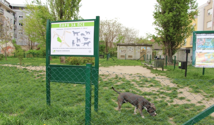 Druženje u subotu na livadici na uglu Kisačke i Jovana Subotića