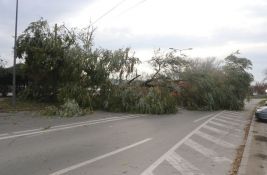 FOTO: Stablo palo i zakrčilo čitav Kej žrtava racije, blokiran saobraćaj