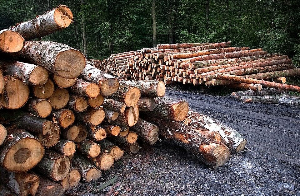 Radnik "Srbijašuma" uhapšen jer je nelegalno posečena stabla slao u strugaru svog oca