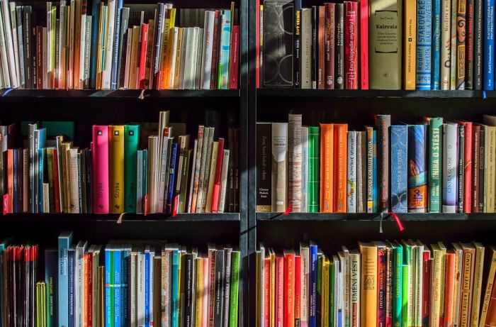 Ogranci Gradske biblioteke na Detelinari i u Kaću privremeno zatvoreni zbog radova