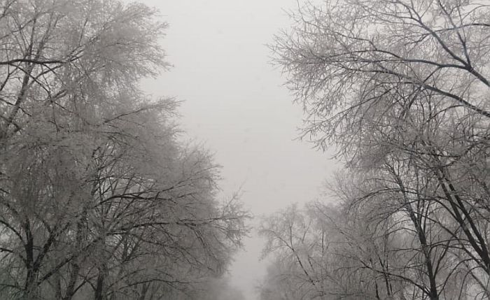 Hladno, tmurno, u subotu kiša, u nedelju susnežica