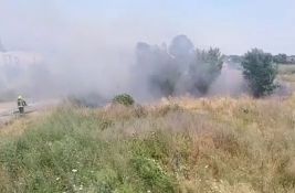 VIDEO: Gori rastinje na Temerinskom putu, vatrogasci na terenu