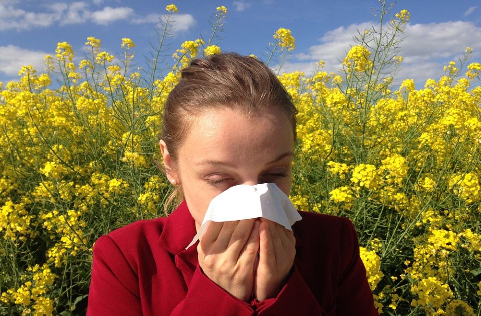 Naučnici: Sezona alergija počinje ranije i traje duže zbog globalnog zagrevanja