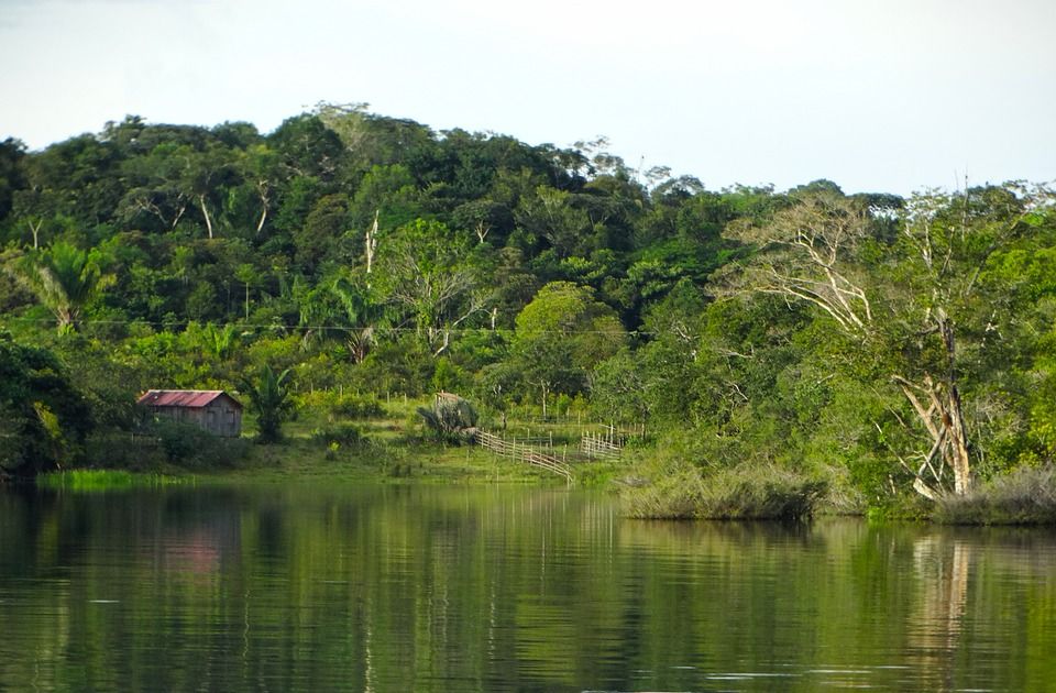 Uništavanje šuma Amazona poraslo za 22 odsto