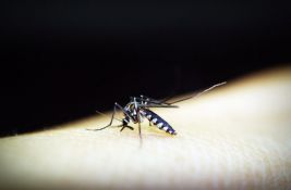 Novi pristup u lečenju smanjuje opasnost od malarije za 70 odsto