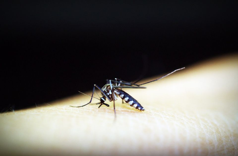 Novi pristup u lečenju smanjuje opasnost od malarije za 70 odsto