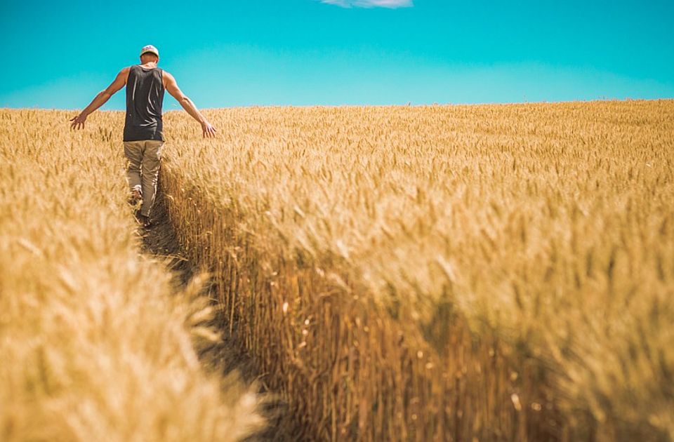 Besplatni pregledi kože za poljoprivrednike u četiri vojvođanska mesta