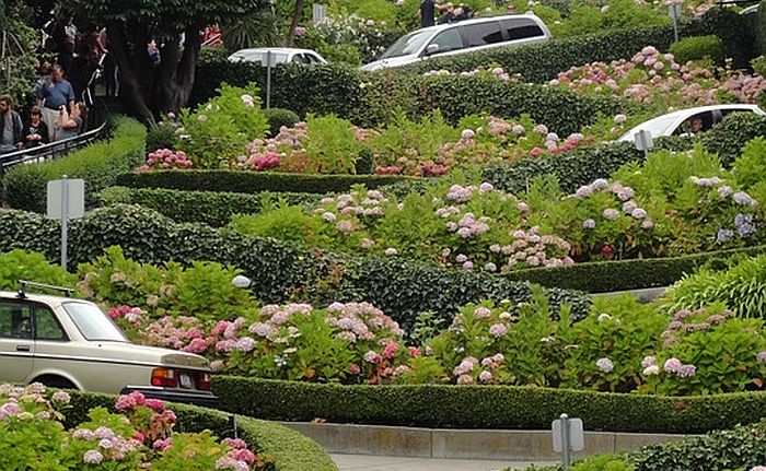 San Francisko će naplaćivati razgledanje najkrivudavije ulice na svetu