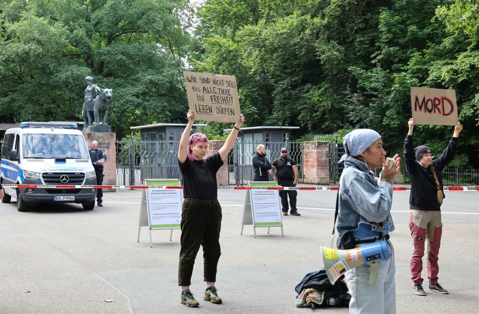 Nemački zoološki vrt ubio 12 pavijana zbog prenaseljenosti