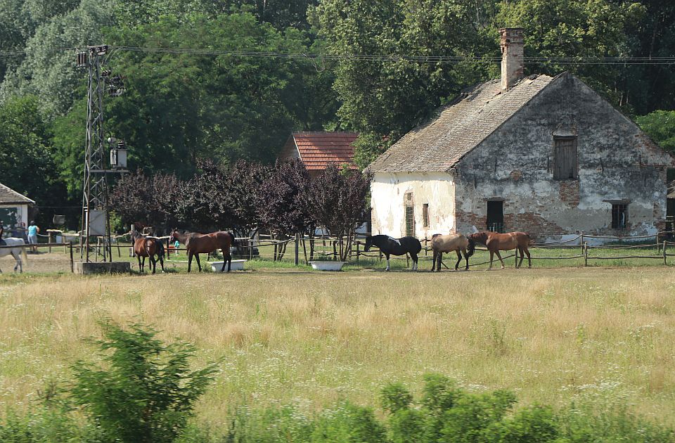 Kamenjar u subotu slavi dan naselja 74. put: Riblja čorba, pasulj i muzika na obali Dunava