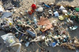 Istraživači proučavaju uticaj bačene plastike na lanac ishrane
