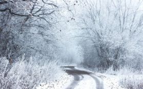 Severni deo Evrope očekuju niže, a južni više temperature ove zime