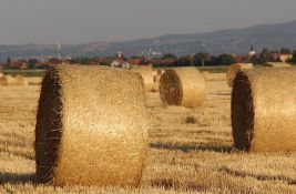 Sombor prednjači po hektarima zemlje vraćene restitucijom