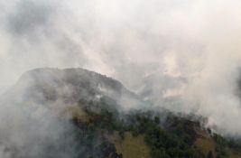 Pokrenuta aplikacija za praćenje požara u Srbiji i još pet zemalja