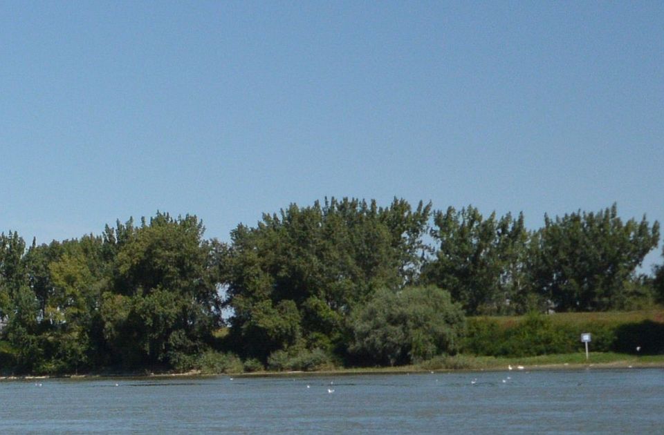 SSP: Obećanje o izgradnji mosta Bačka Palanka-Neštin puka predizborna laž 