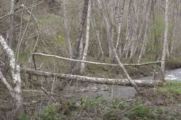 VIDEO: Meštani ivanjičkih sela 40 godina čekaju most, u međuvremenu prelaze preko debla