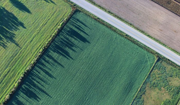 Srbija prešla put od uvoznika do izvoznika soje