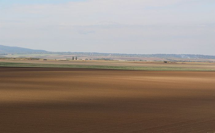 Ratari pred sudom u Novom Sadu ponovo dobili spor protiv Tenisa