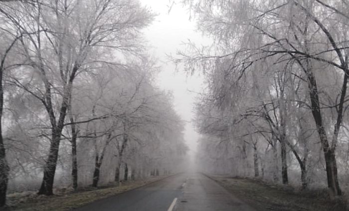 Magla i poledica otežavaju saobraćaj, u Vojvodini vidljivost ispod 100 metara