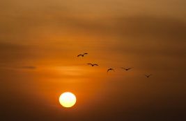 Šta će se dogoditi sa Zemljom kada Sunce postane crveni džin, ali za oko pet milijardi godina?