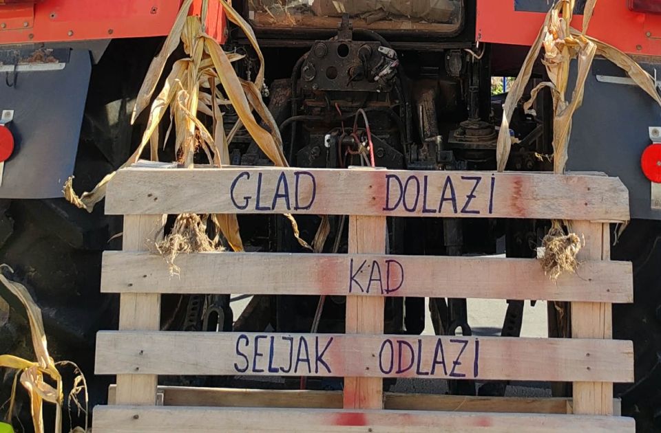 Akademijski odbori SANU: Srpskim domaćinima nije mesto u zatvoru