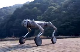 Kina planira da koristi robote-pse za izgradnju baze na Mesecu