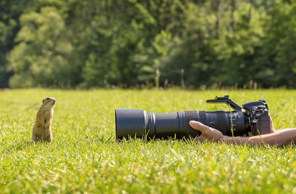 Svojevrsna foto Nojeva barka: Napravio arhivu fotografija 18.000 životinjskih vrsta