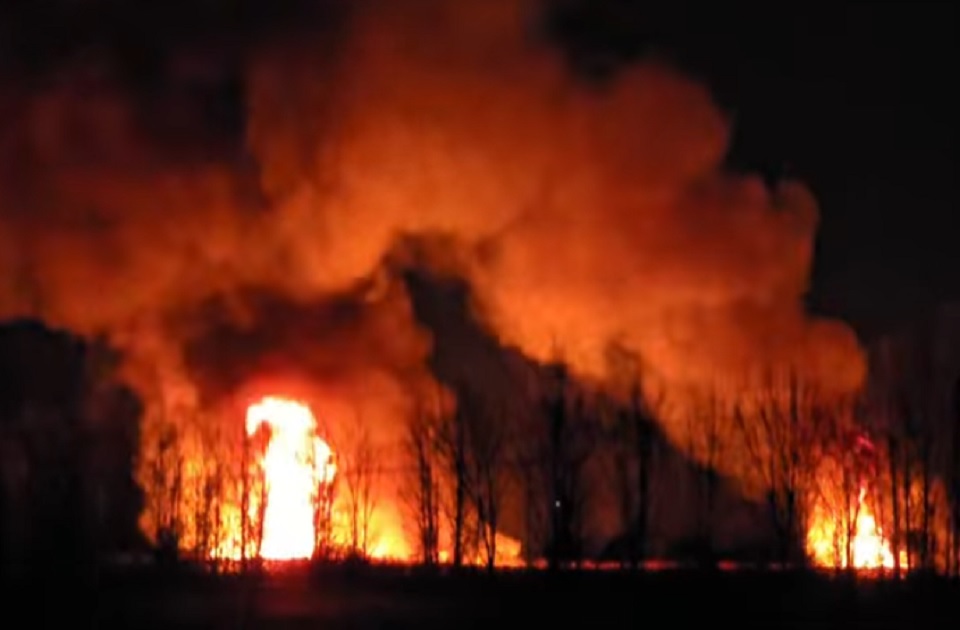 VIDEO: Požar između Beočina i Rakovca, vatra vidljiva iz Novog Sada