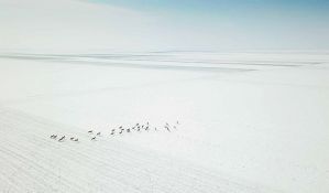 Najbolje fotografije netaknute prirode Srbije od sutra u Svilari