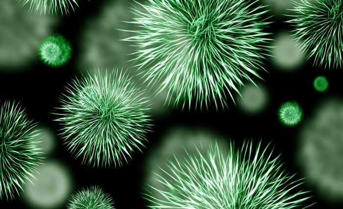 Naučnici veruju da postoji još 1,6 miliona neotkrivenih virusa