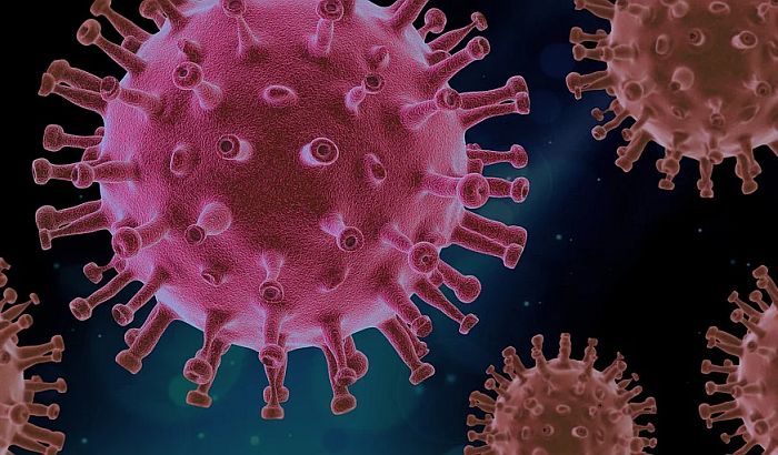 U Kini otkriven novi virus sa pandemijskim potencijalom