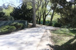 Zelenilo prvo u Srbiji uvodi posebnu negu drveća, kažu da je broj stabala u Novom Sadu udvostručen