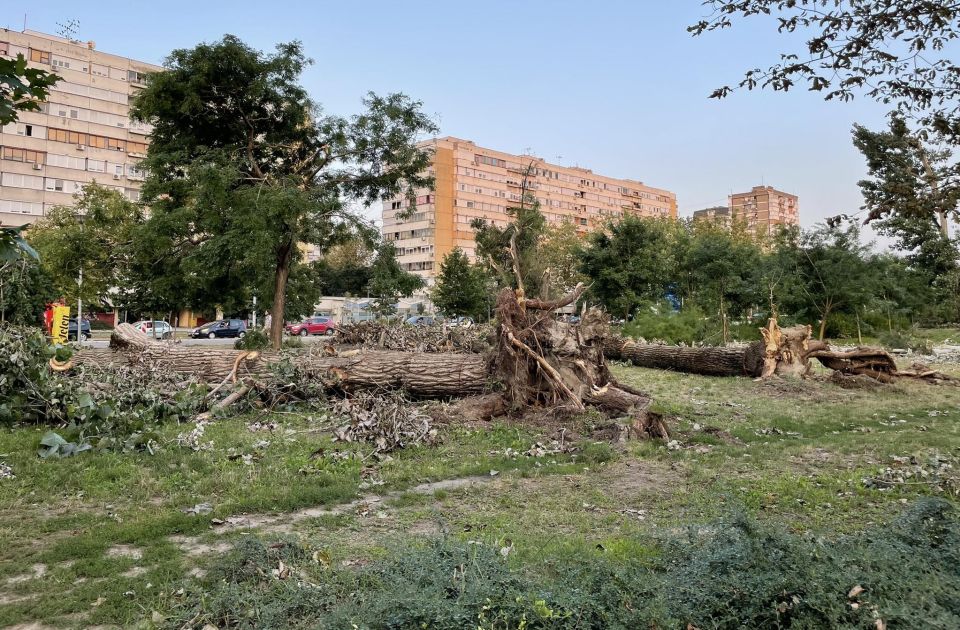 Poziv Novosađanima koji još nisu prijavili štetu od nevremena da to učine, rok do 24. avgusta