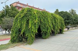FOTO Uredno podšišane, skroz ćelave, pomalo osušene: U kakvom su stanju klupe na keju