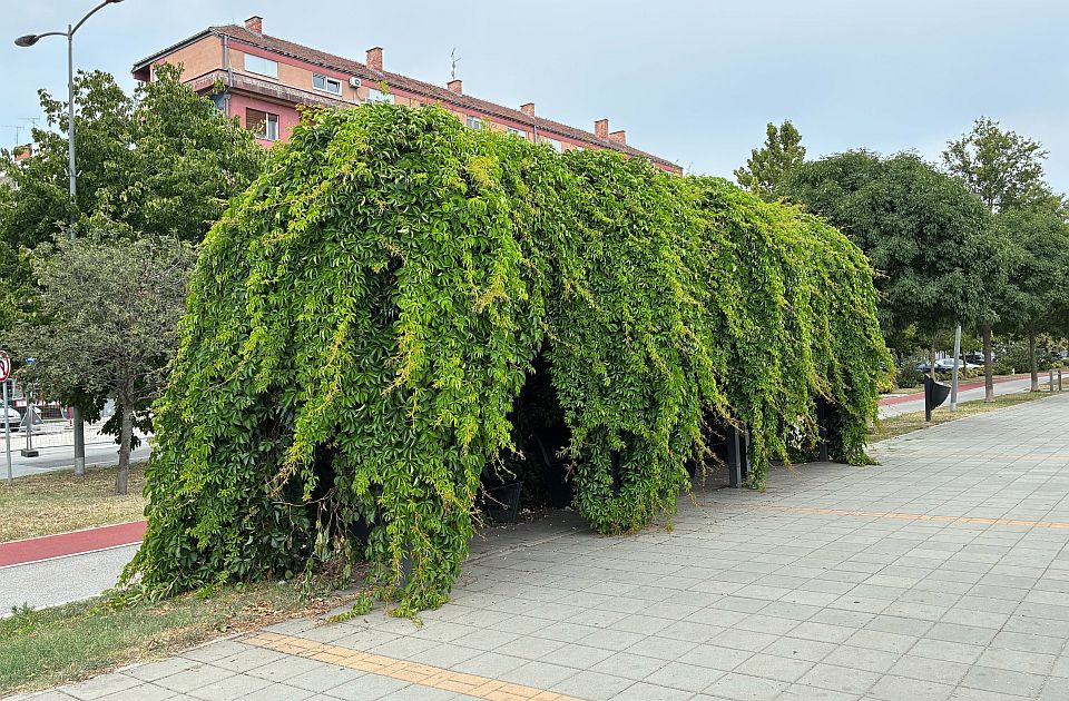 FOTO Uredno podšišane, skroz ćelave, pomalo osušene: U kakvom su stanju klupe na keju