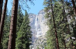 Nacionalni parkovi u SAD dodali Trampov rođendan na listu dana kada se ne plaćaju ulaznice