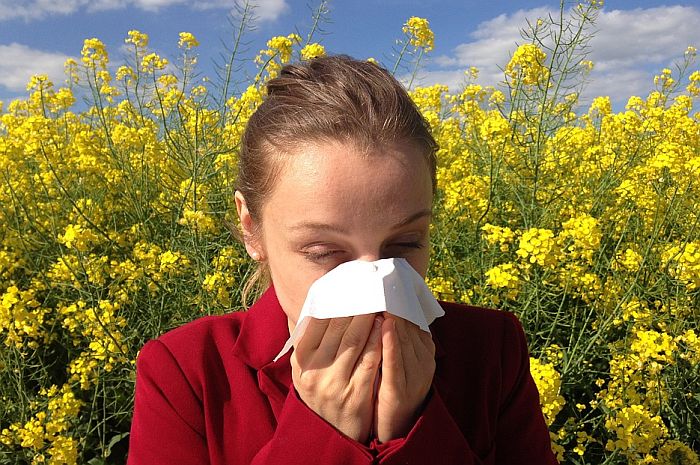 Porast alergena u vazduhu