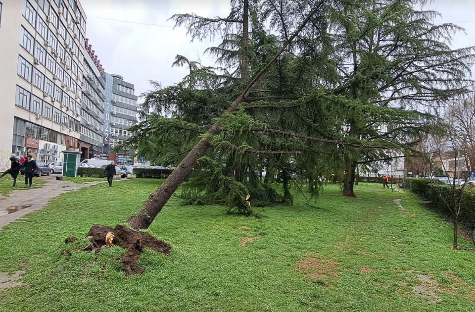FOTO Olujni vetar napravio haos po gradu: Na kolovoz i automobile padale bandere, drveće, jarboli