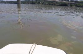 FOTO, VIDEO: Velika mrlja na Dunavu kod Novog Sada, pogledajte snimke iz čamca