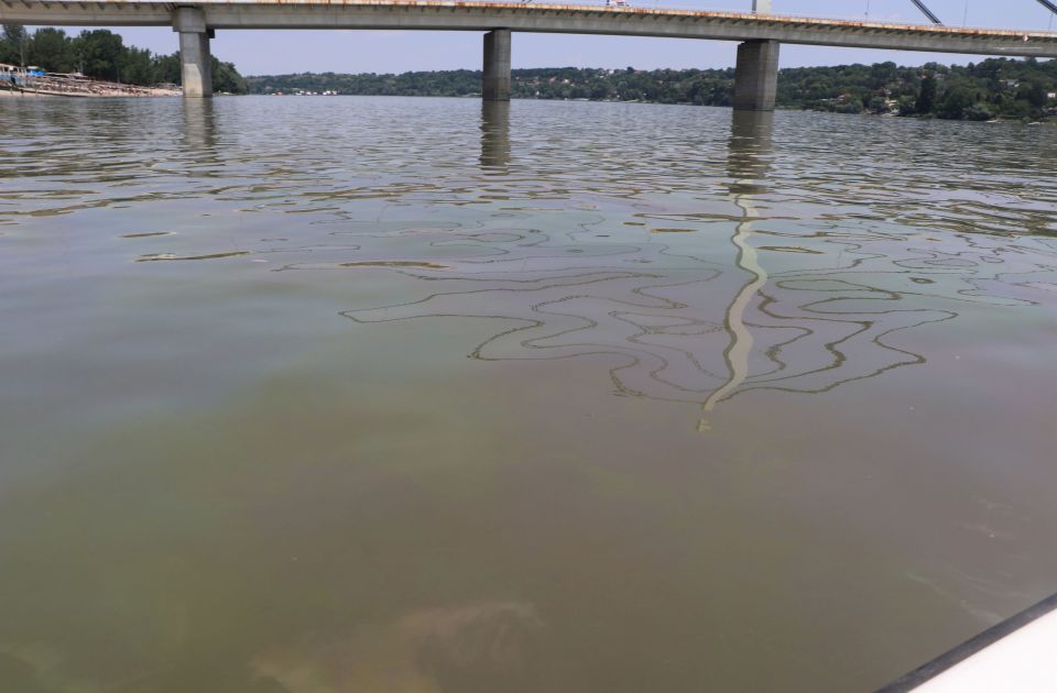 021.rs erfährt: Dienstleistungen rund um die Sanierung von Schlamm eines bulgarischen Schiffes auf der Donau