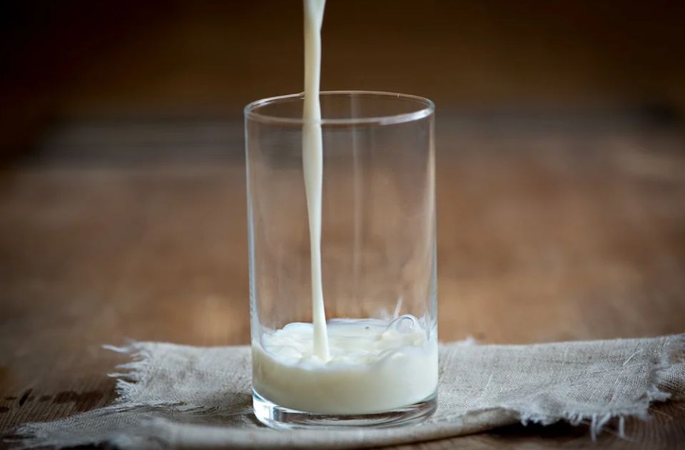 Proizvođači mleka tražili od Vlade hitno usvajanje njihovih zahteva