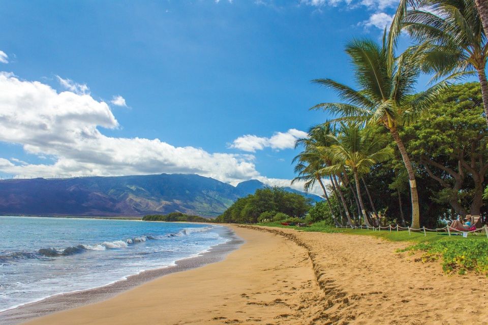 Turisti kažnjeni sa po 500 dolara zbog dodirivanja havajske foke
