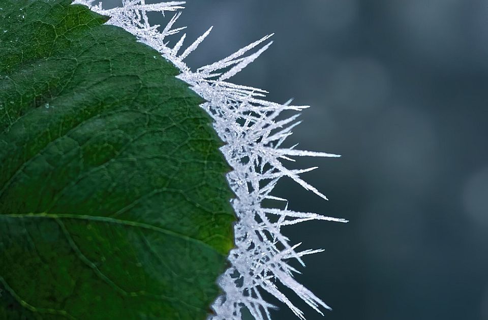 U ponedeljak najviša temperatura -2 stepena